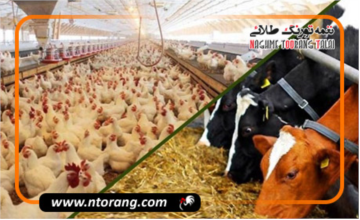 دستیابی به دانش فنی تولید فرم آلی عنصر روی برای تغذیه دام و طیور